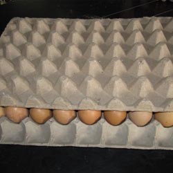 45枚蛋托