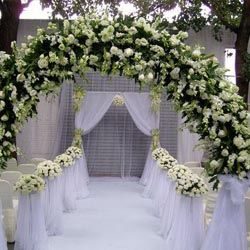 【白绿】【日丽风和】-白色主题婚礼